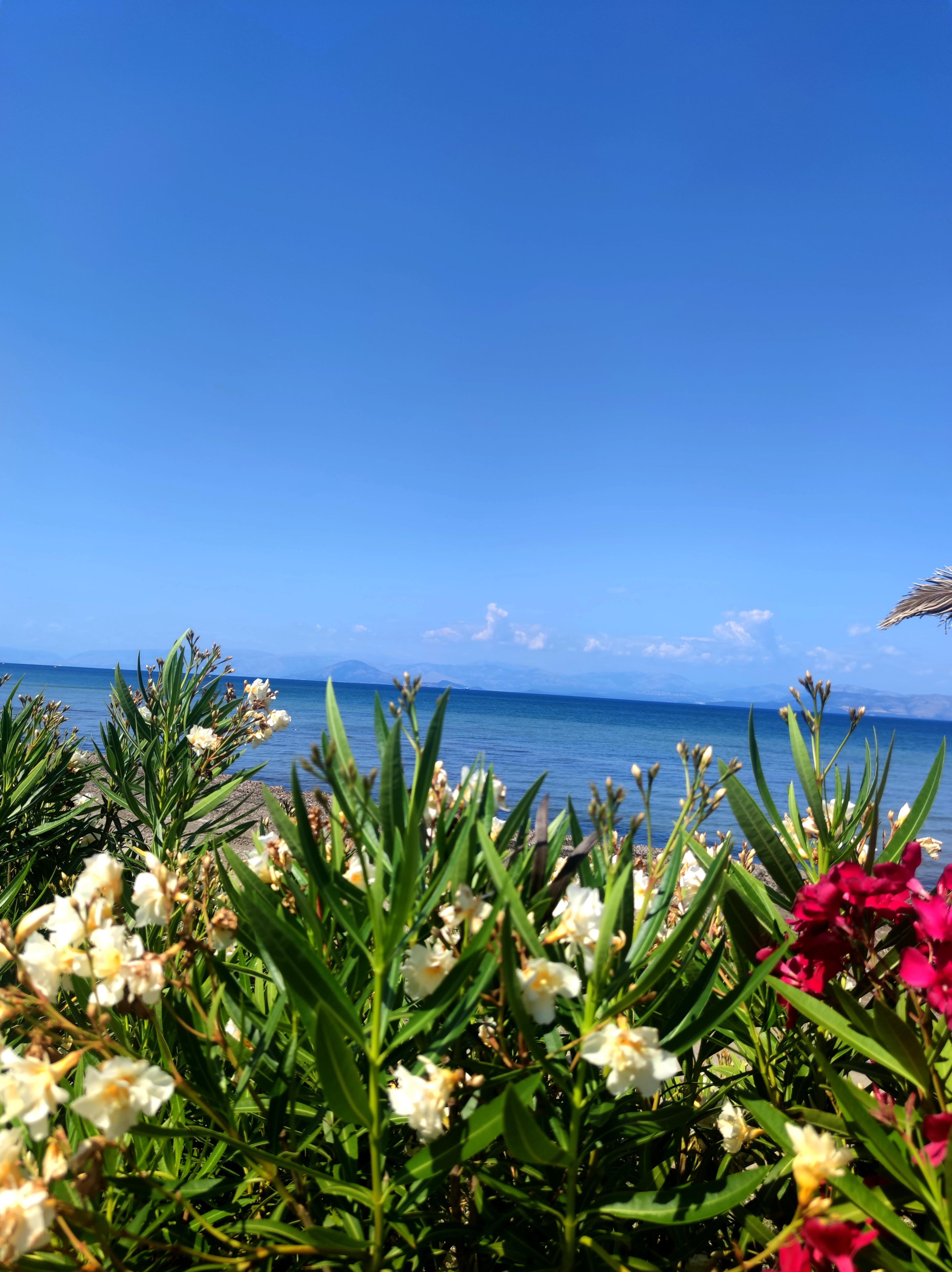 Hotel Blue Waves - Gallery Image 43